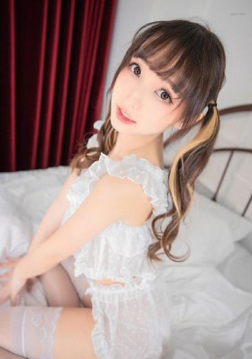 细狗免费观看完整