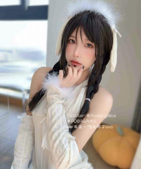 综艺节目大全免费