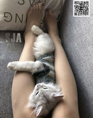 牺牲电影