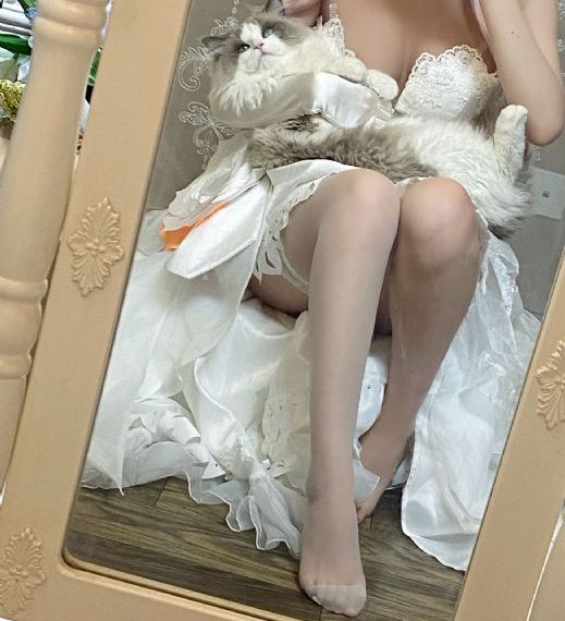 动漫网站在线免费观看