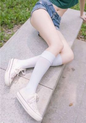 加菲猫家族