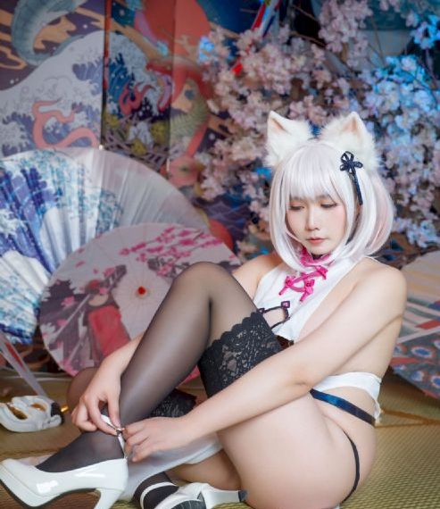 一道本视频