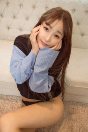 2024黄雀电视剧免费观看