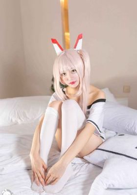 谜证电视剧免费观看全集完整版