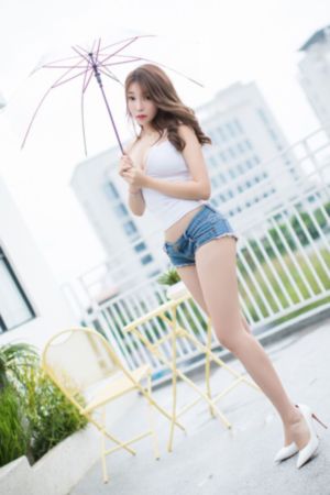 拉布拉多动画片免费观看