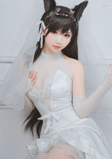 锵锵锵锵锵动漫免费观看