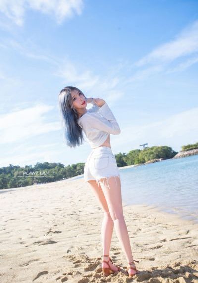 藏海花之幽谷迷巢