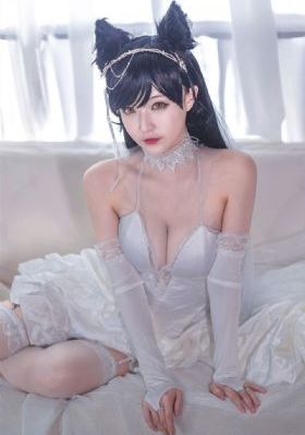 免费看黄色的网站