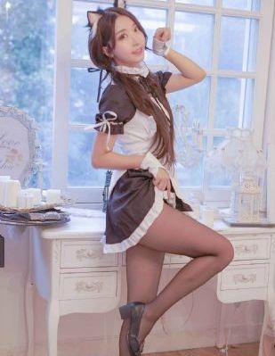 茶杯狐 cupfox 茶杯狐