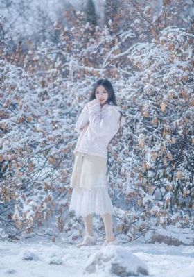 狐狸的夏天第一季免费播放